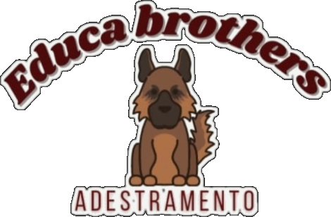 Educa Brothers Adestramento